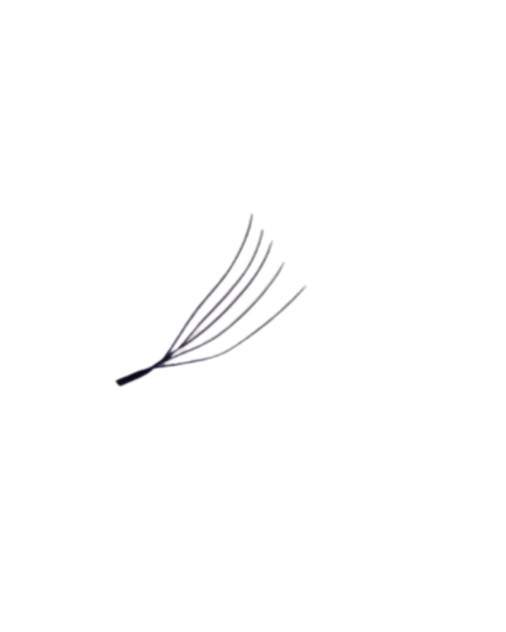 LASHES U- 5D