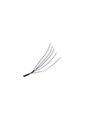 LASHES U- 5D